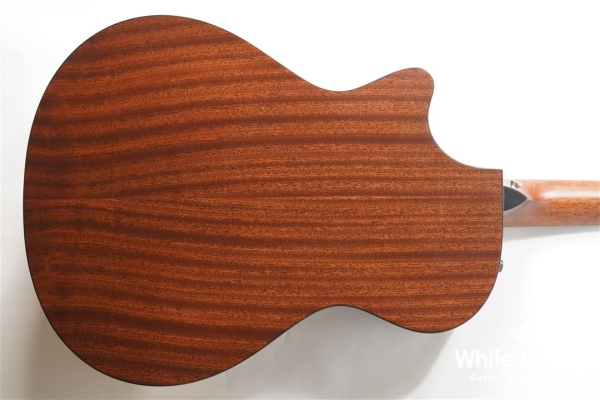 312ce 12Fret V-Class